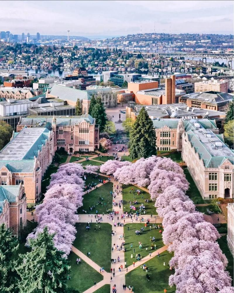 威斯康星大学麦迪逊分校